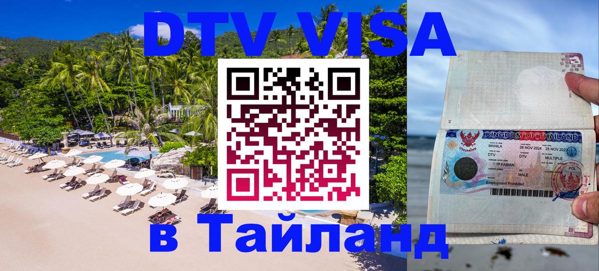 Сколько стоит DTV виза — актуальные цены, оформление даже без документов - 20.11.2025 